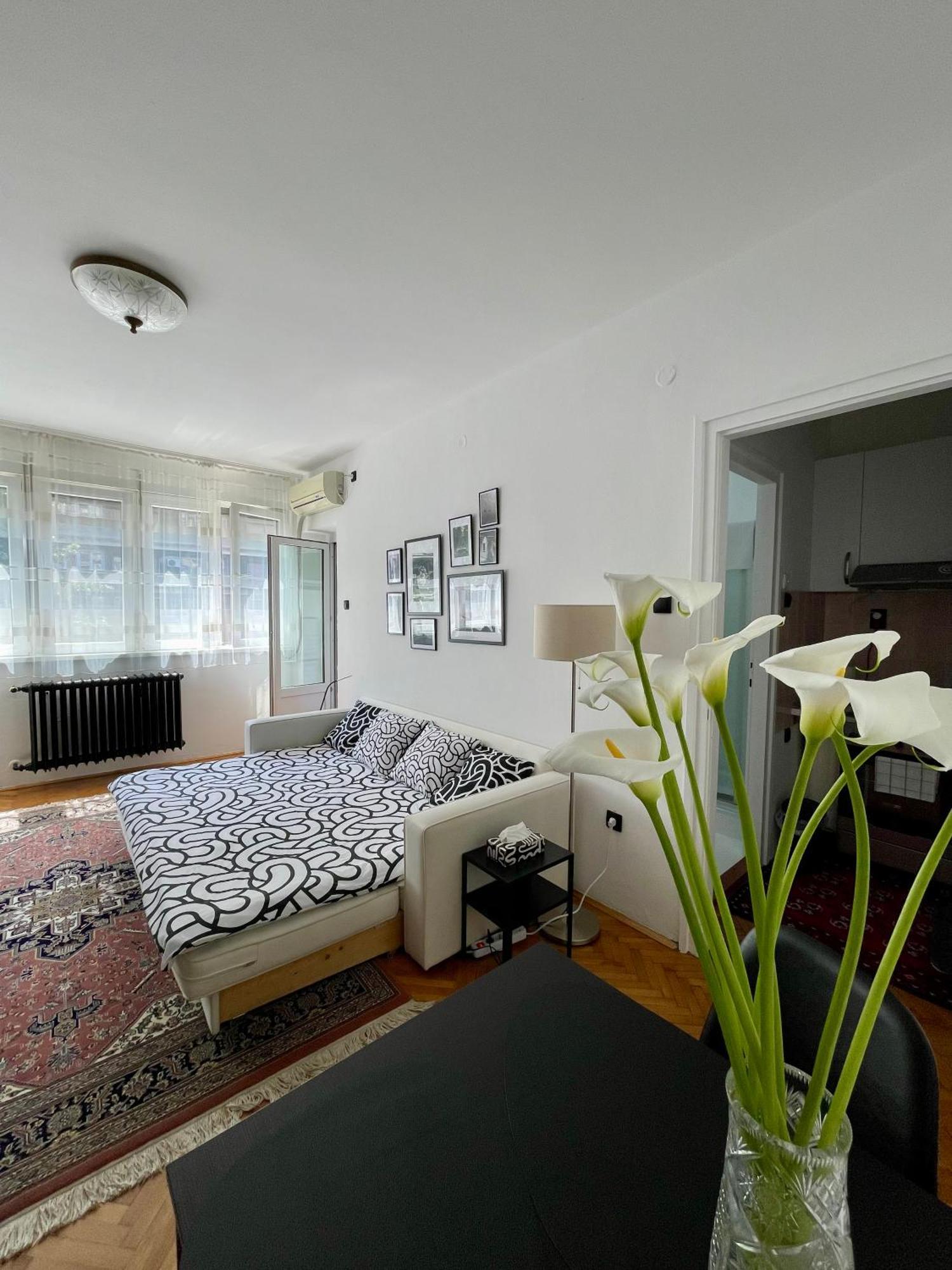 Apartment Mirochka ベオグラード エクステリア 写真